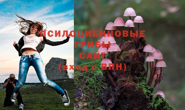 кокс Протвино