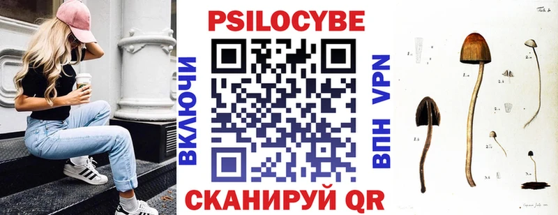Псилоцибиновые грибы прущие грибы  купить закладку  Узловая 