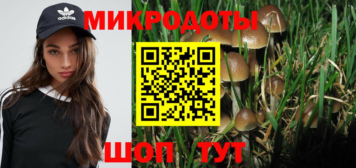Галлюциногенные грибы Psilocybe  Вход с VPN  Узловая  Галлюциногенные грибы Magic Shrooms 
