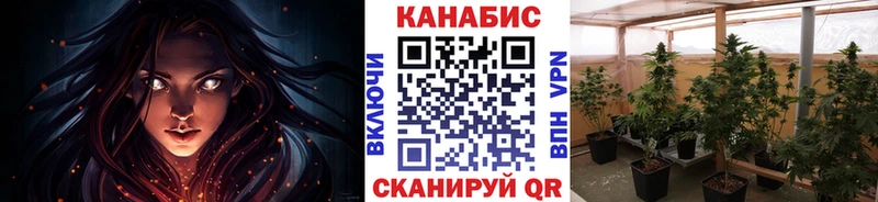 Бошки марихуана индика  сколько стоит  Узловая 