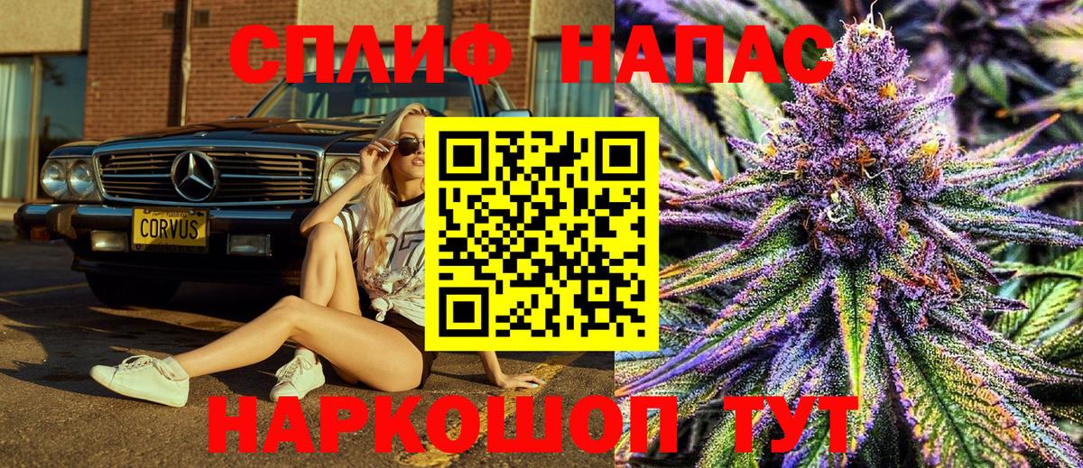 Каннабис MAZAR  МАРИХУАНА планчик  Узловая  Бошки Шишки Amnesia  Вход с VPN 